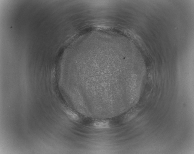 X0000071900369200607212022