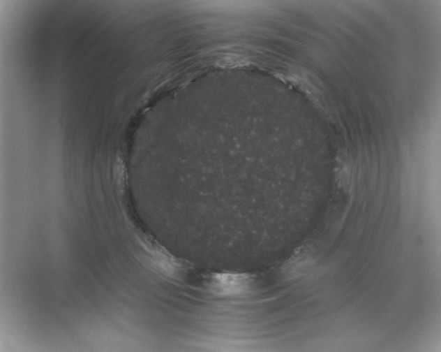 X0000071900371200607212022