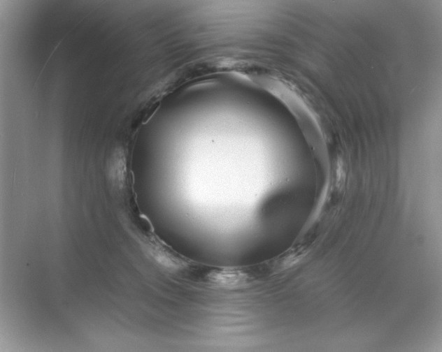 X0000071900372200607212022