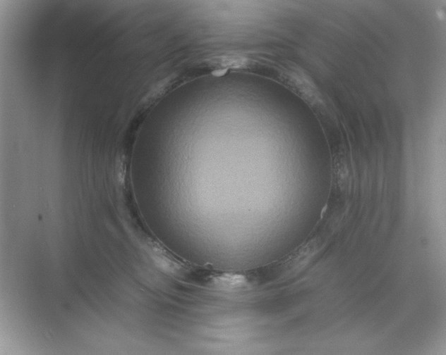 X0000071900374200607212023