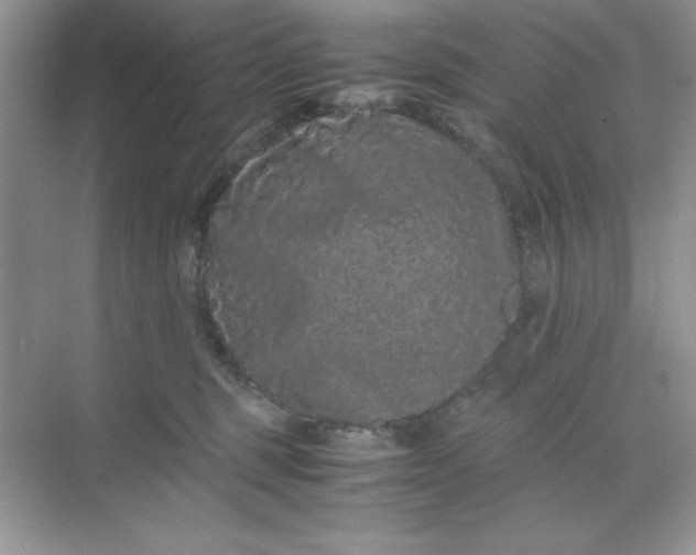 X0000071900375200607212023