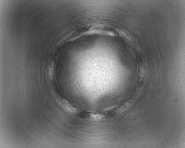 X0000071900376200607212023