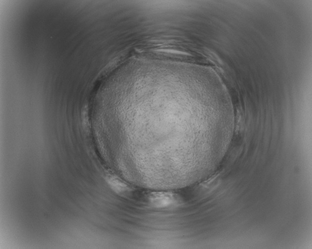 X0000071900377200607212023