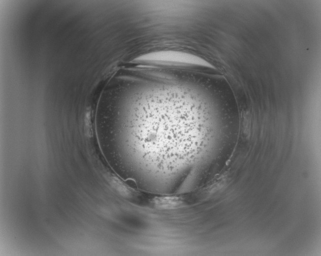 X0000071900378200607212023