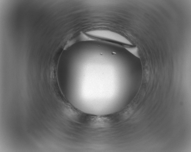 X0000071900379200607212023