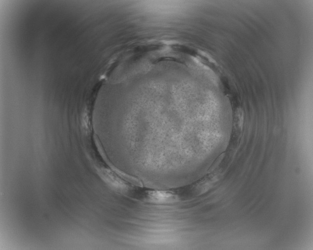 X0000071900380200607212023