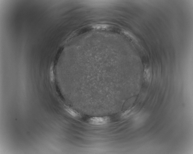 X0000071900381200607212023