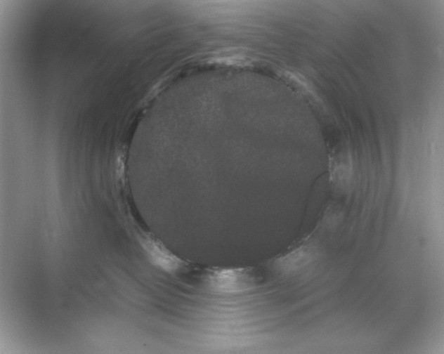 X0000071900382200607212023