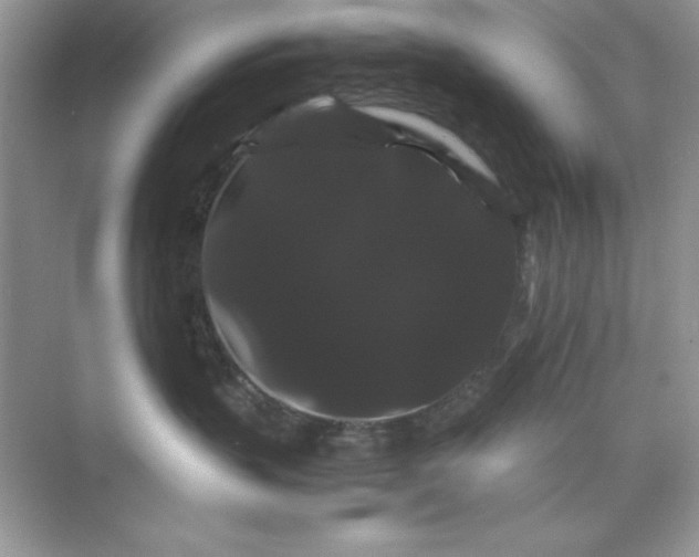 X0000071900383200607212023