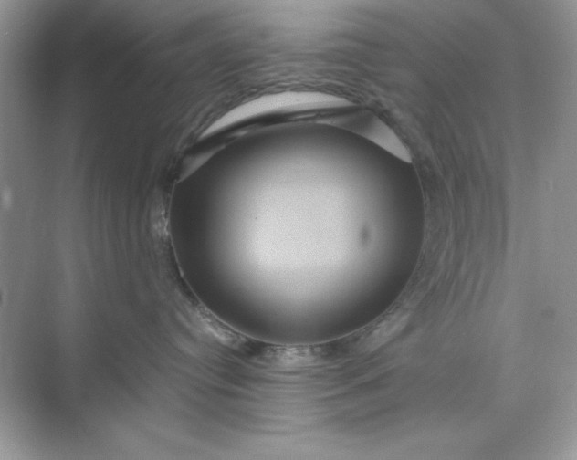 X0000071900384200607212023