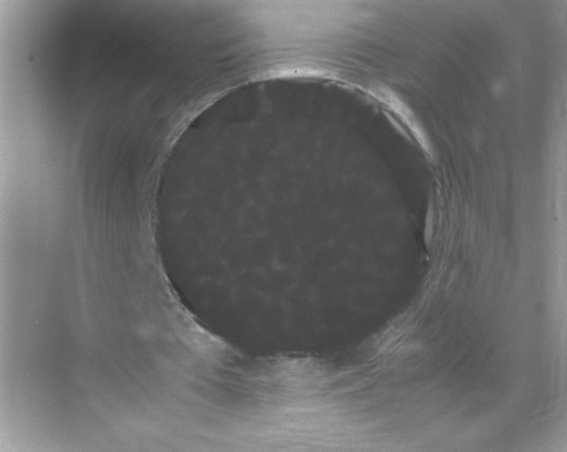 X0000071900385200607212022