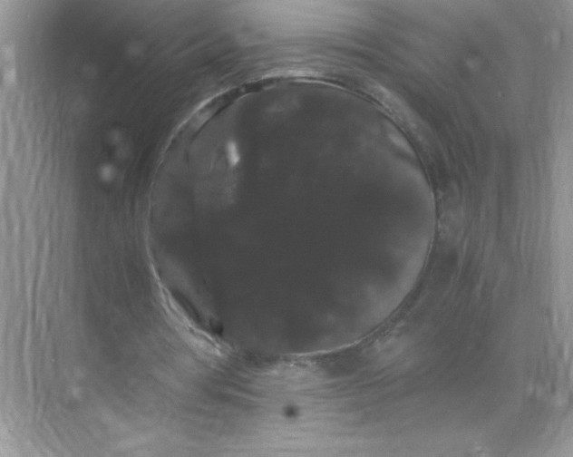 X0000071900386200607212022