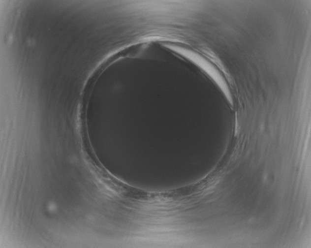 X0000071900387200607212022