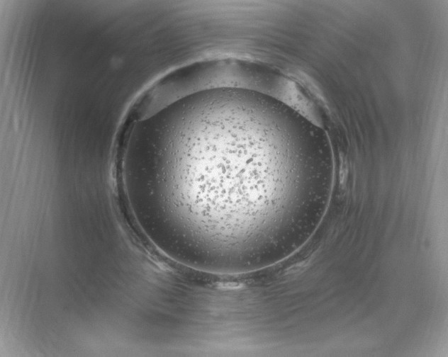 X0000071900388200607212022