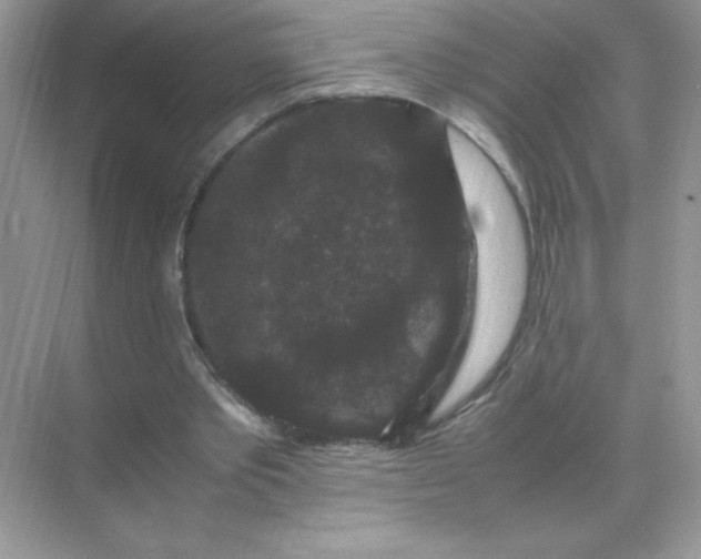 X0000071900389200607212022