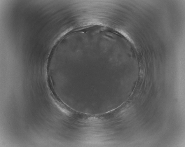 X0000071900390200607212022