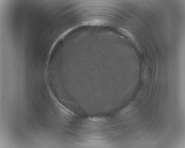 X0000071900392200607212022