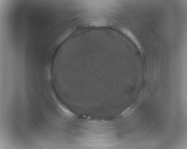 X0000071900393200607212022