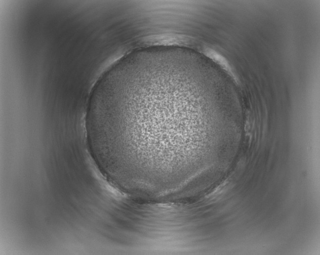 X0000071900394200607212022