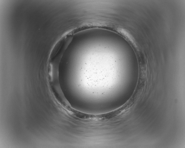 X0000071900395200607212022