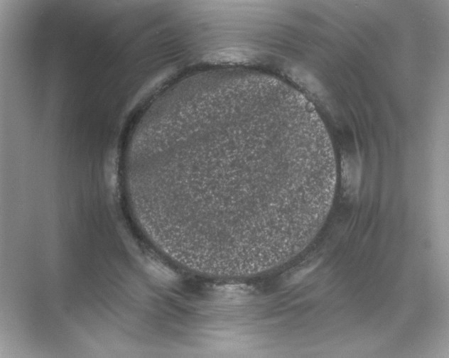 X0000071900396200607212022