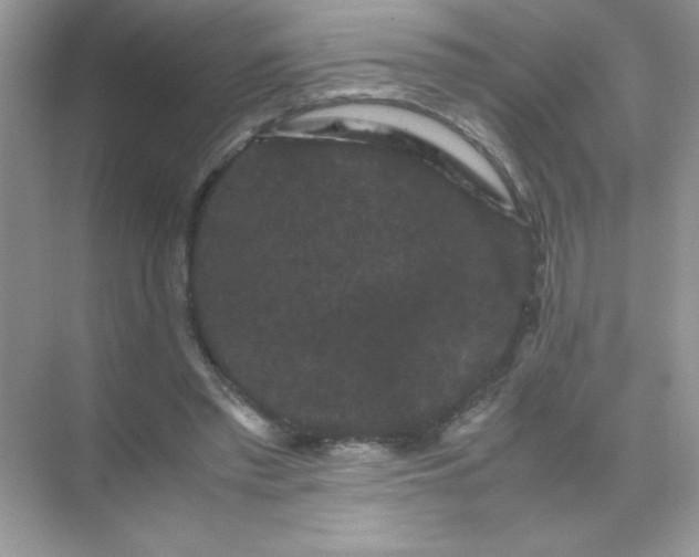 X0000071900397200607212022