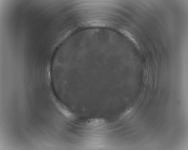 X0000071900398200607212022