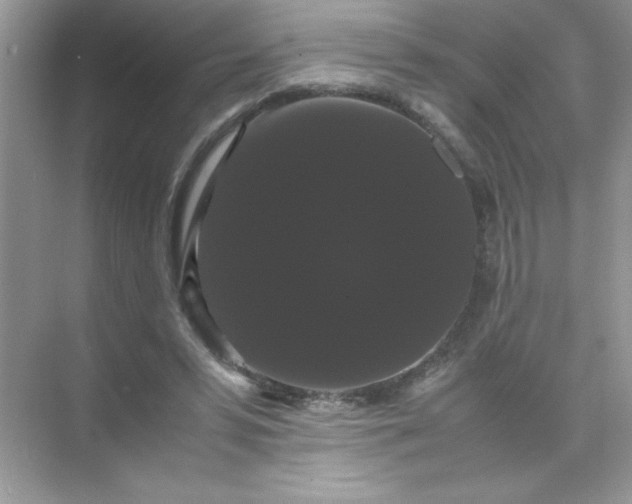 X0000071900399200607212022