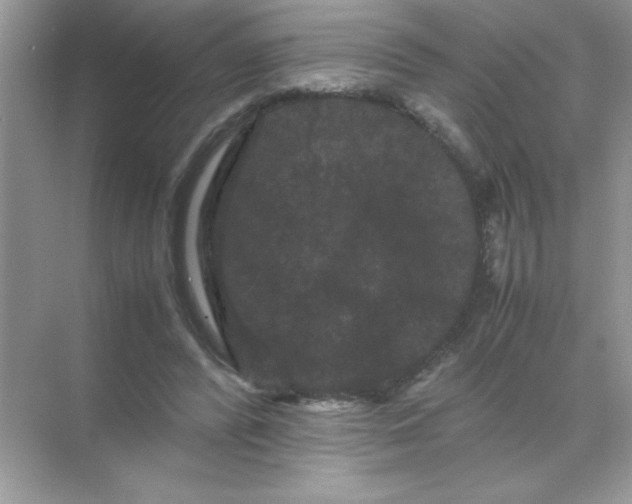 X0000071900400200607212022