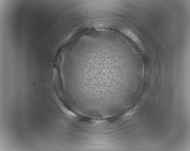 X0000071900401200607212022