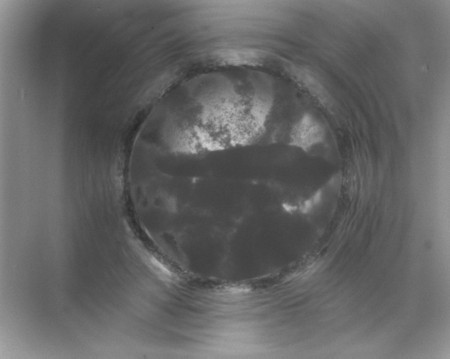 X0000071900402200607212022