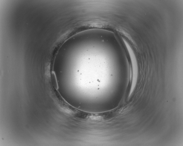 X0000071900403200607212022