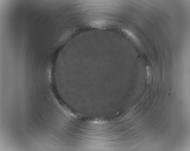 X0000071900404200607212022