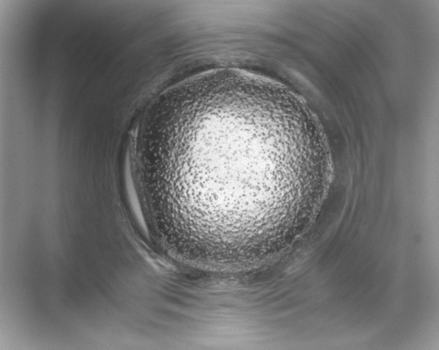 X0000071900405200607212022