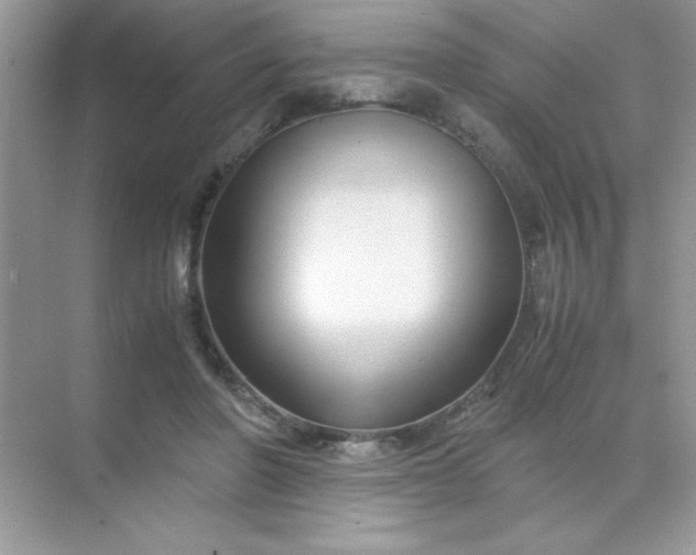 X0000071900406200607212022