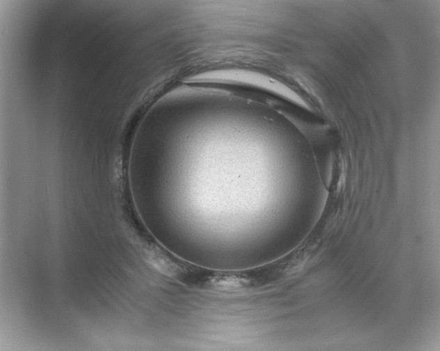 X0000071900407200607212021