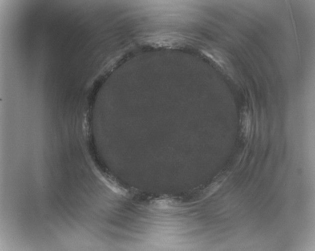 X0000071900408200607212021