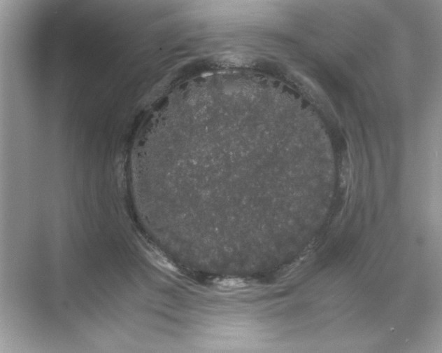 X0000071900409200607212021