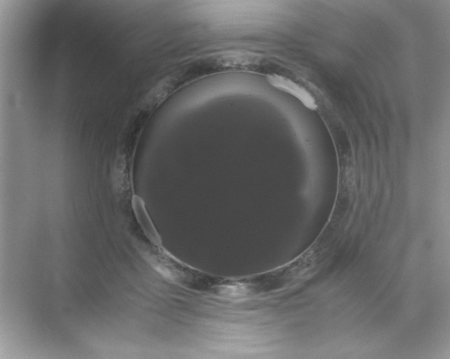 X0000071900411200607212021