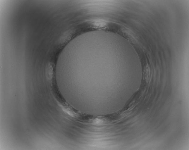 X0000071900412200607212021