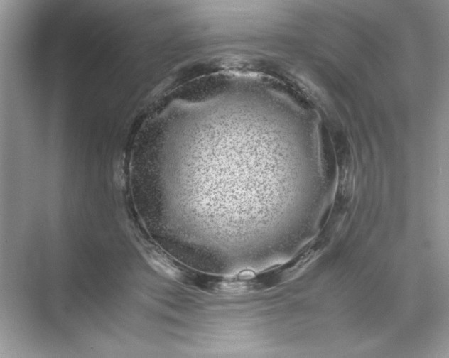 X0000071900413200607212021