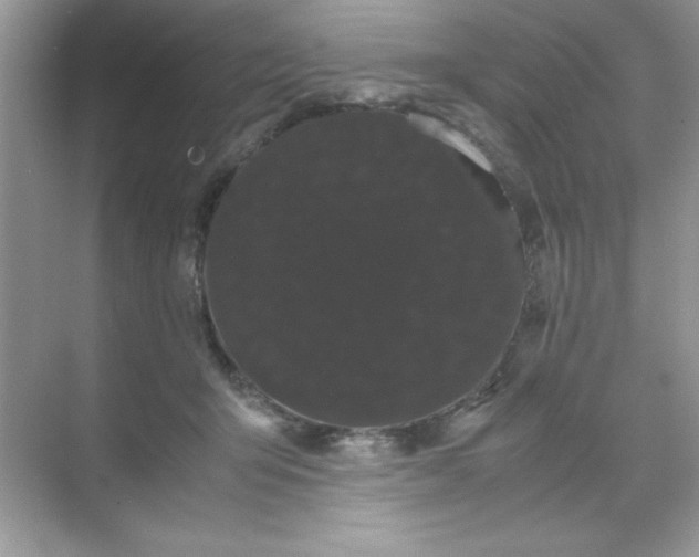 X0000071900415200607212021