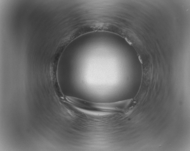 X0000071900416200607212021