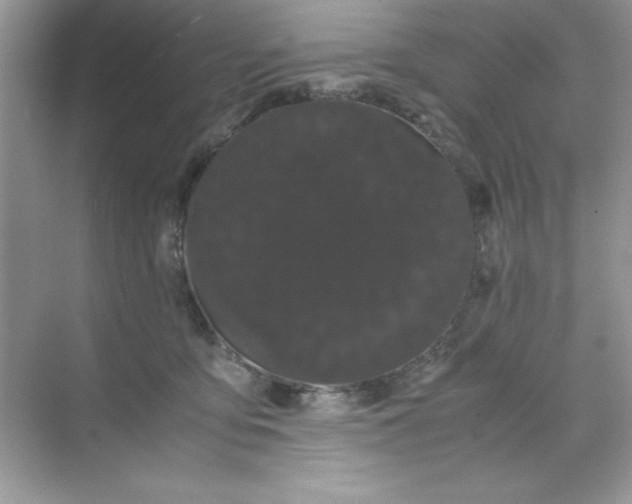 X0000071900419200607212021