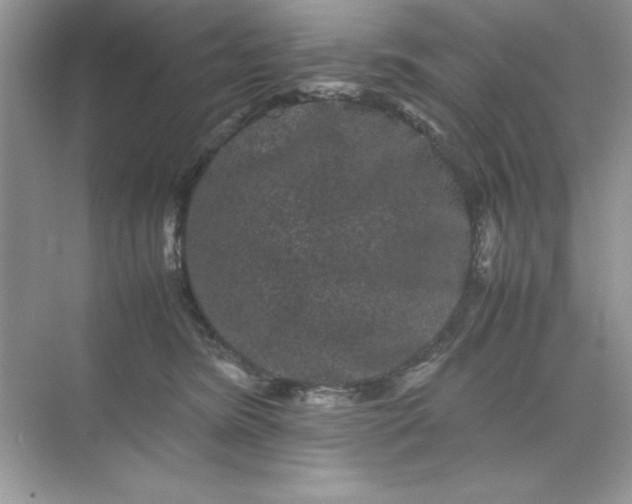 X0000071900420200607212021