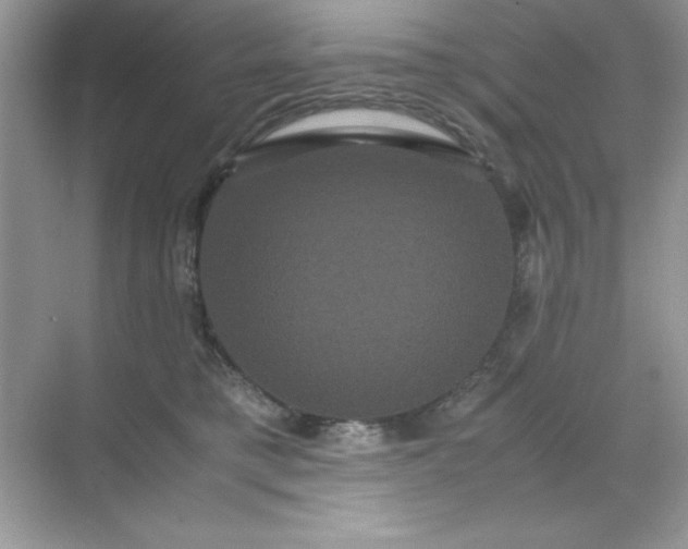 X0000071900421200607212021