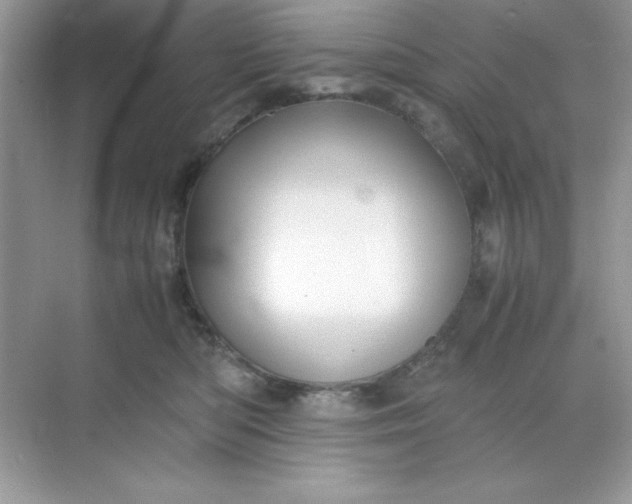 X0000071900422200607212021