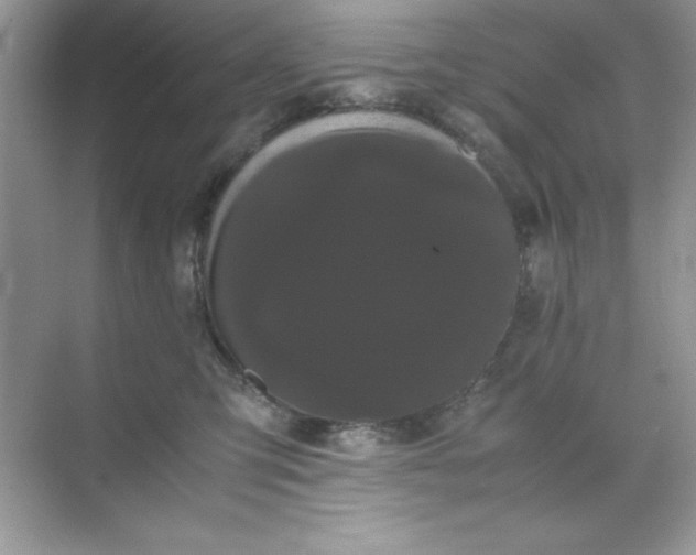 X0000071900423200607212021