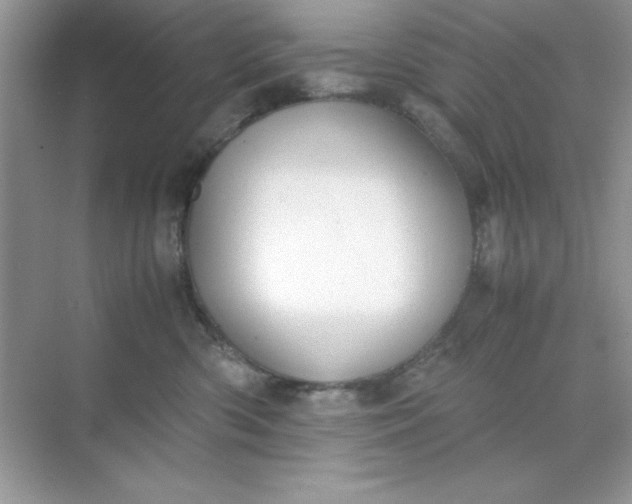 X0000071900426200607212021