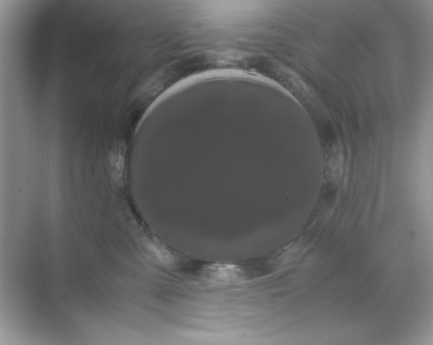 X0000071900427200607212021